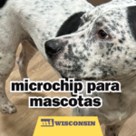 Encuentre a su ‘peludito’ con un microchip